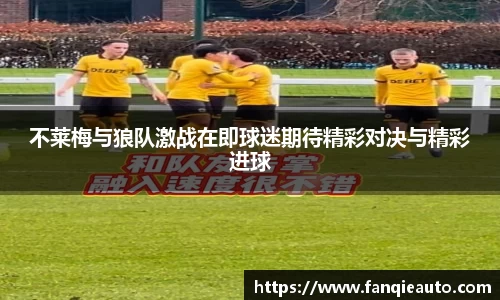 333体育不莱梅与狼队激战在即球迷期待精彩对决与精彩进球
